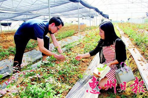 㶫л¥Ǵ̬԰Ŀõ壬»ӭ