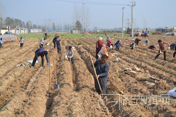 ɽɽ400Ķɽҩϲ ¸·