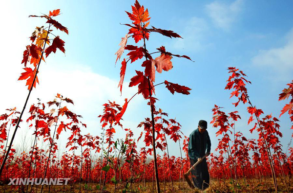119գɽʡԴضˮũڶֲ̻ľжܡ