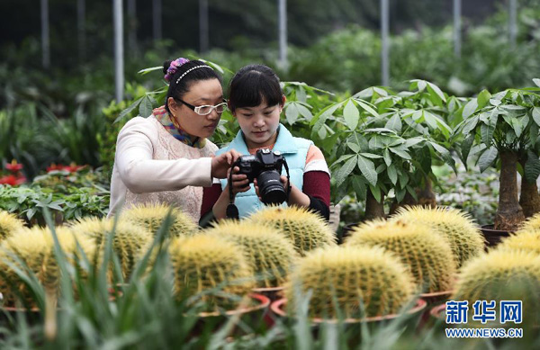 山东邹平:“互联网+特色产业”为农村镇域经济注入新活力