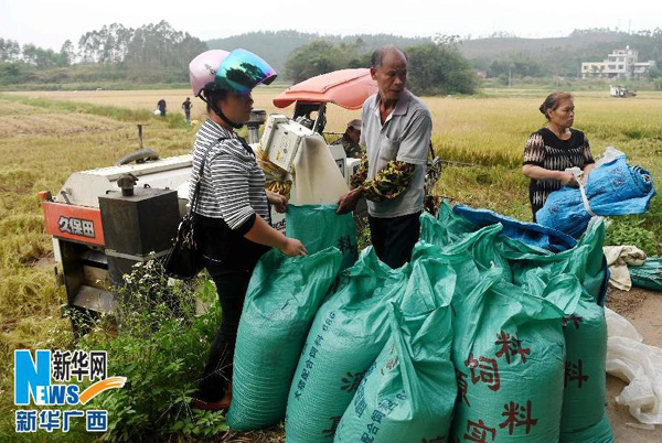 11��11�գ�������������ũ���ջ������װ����