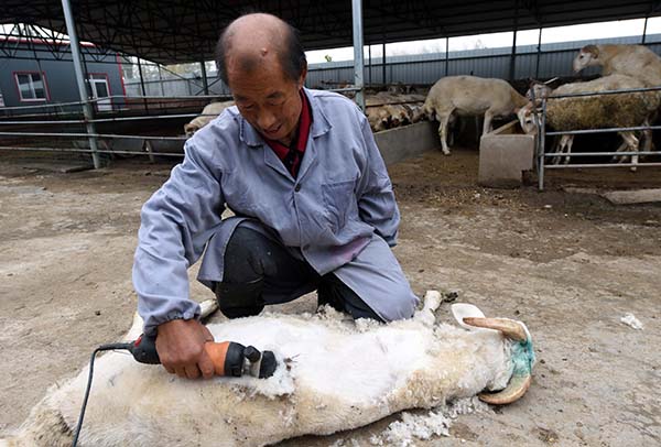 1110գӱʡʢֳũרҵԱڼë