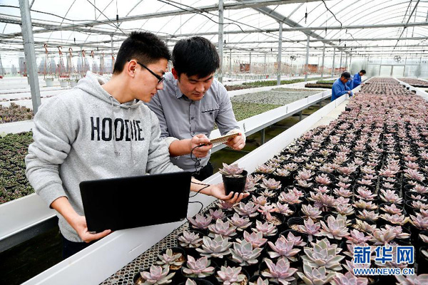 1111գȳ뼼ԱܻҴڲɼֲͼ񣬽ۡ