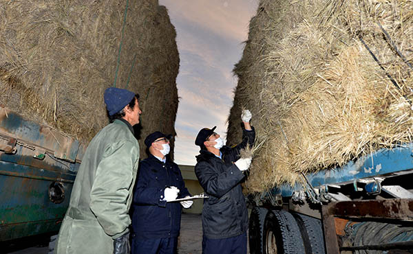 1111գ뾳߾ֵĹԱԽڵݽм顣