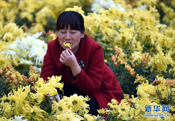 �ӱ����壺��ʳ�ջ��ɡ��¹�