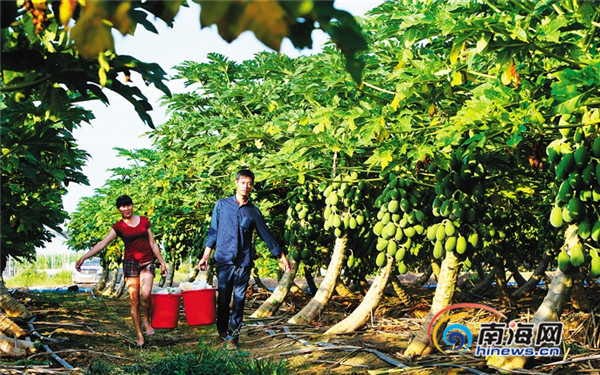 ��������3�귢չ����ľ��5000Ķ ��ũ�������²�ҵ