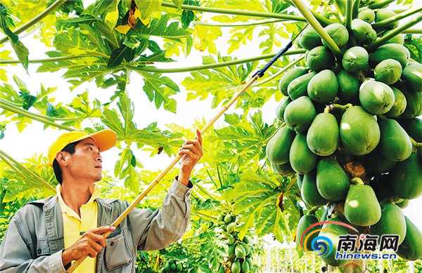 һλ��������ľ��԰����������ҵ��