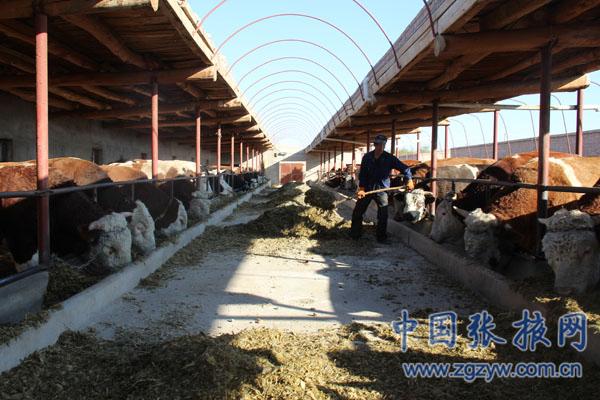 �����̨�ϻ�����ͷ��ҵ��������ҵ���չ