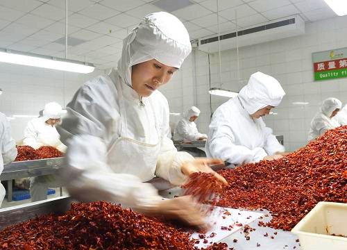 ɽ������̽����Ʒ��ũҵ����ģʽ