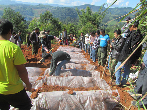 �����º����°����ǿ��ֲ�Ἴ���ƹ� �������������Ч