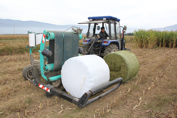 ���϶�Դ���������������ƹ㹤����Ч����