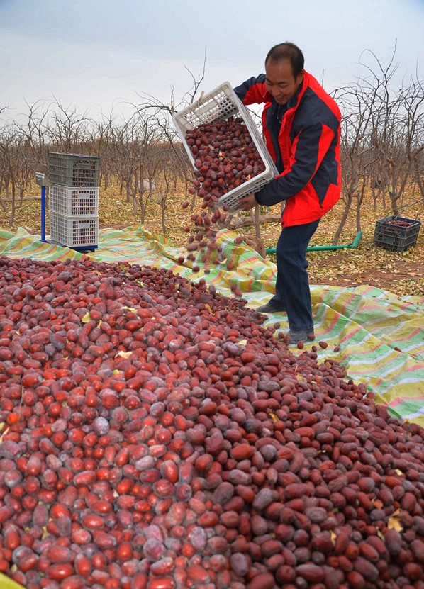 1114գһʦũɺѷڵͷ