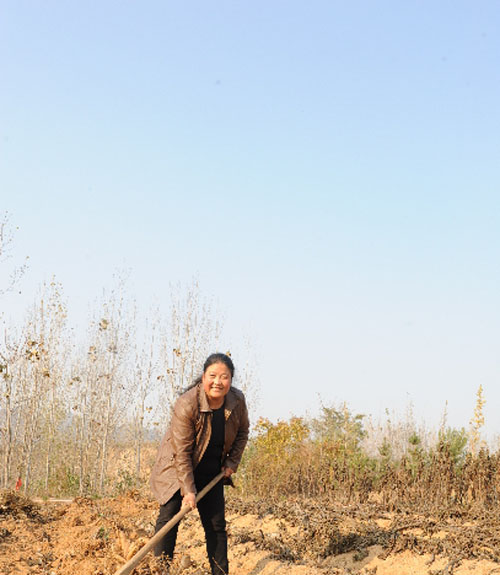 ֳɹΪһ˿ɷѾ˼ũ˳۴ɩڸٳѩԣ߲ϵĺˮЦ˵