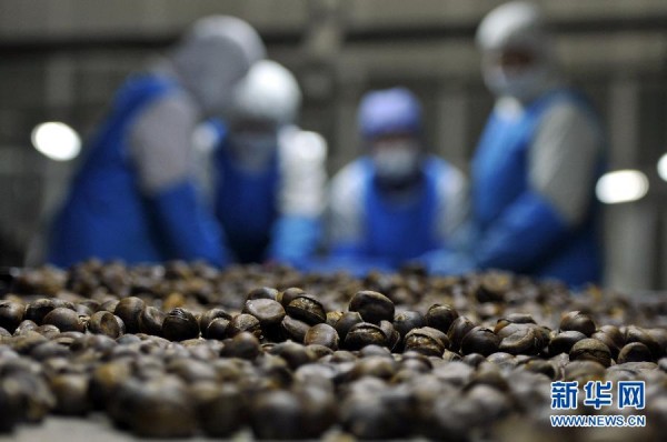 ɽ�����ʰ�����ֲ�ӹ�ʻ��쳵��