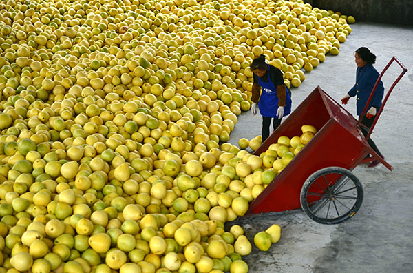 1116գںʡظżֲ磬ũڴջĹˮ֡