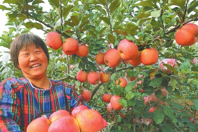 ����ʡ�ݳ���ƻ��ϲ���չ�ũ��ժæ