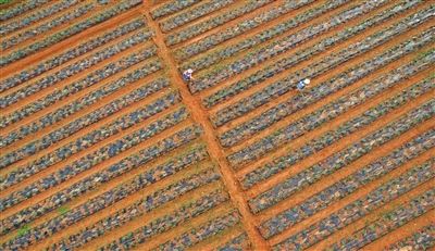 ���ϳ�����İ�ϵ��� ��������