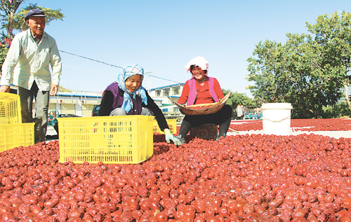 ྰ̩ɫֹʾ ߳ũյ·