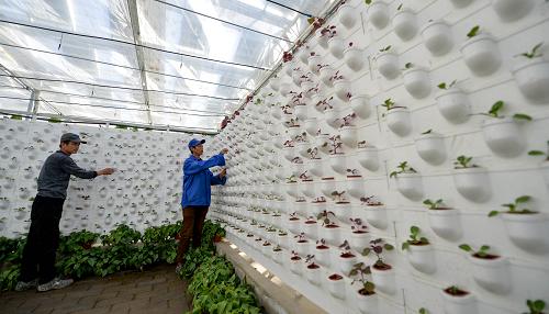 1116գгǹҴڣԱڲ鿴ũ