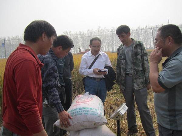 նԶ2015곬ĶʾƬƽĶͻ800