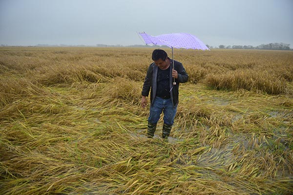 ϲؽ״ũ鿴1117㣩ֲ270Ķ200Ķδոʧӡ