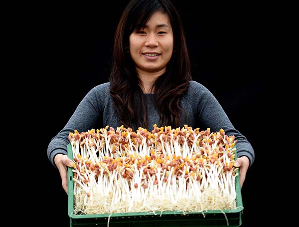 1116գǯͷļ˰ѾĻ硣