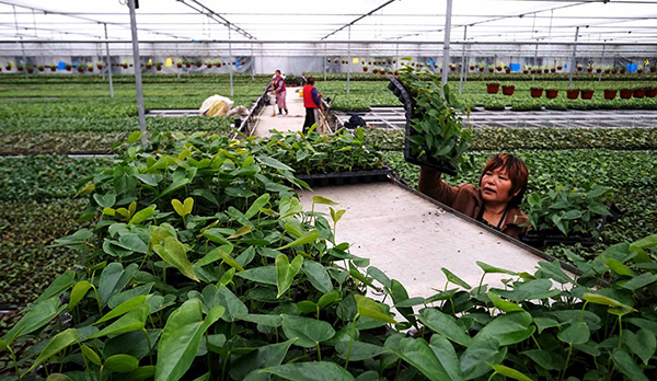 ڴӸׯĴԻܻڽл﹤1113㣩