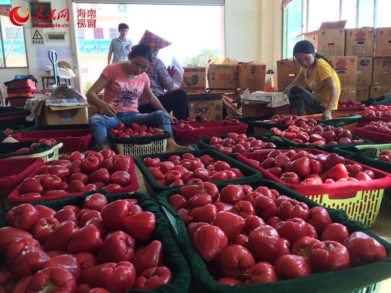 ���Ϻ��ڡ����򡱴����������� ���������¸�·