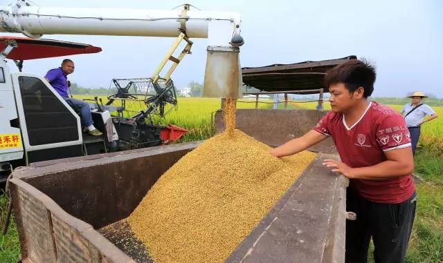 Ԭ¡ƽĶ1690ˢ¹㶫÷¼