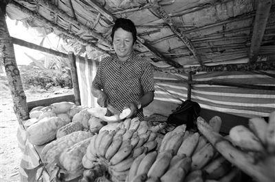 ͼΪ֥īصʶ༪·ֲˮ