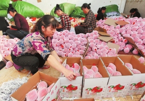 ����������ʯ�������������г�