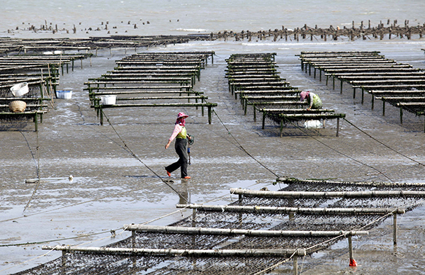 1120գڸʡнɽϲֳϲˡ