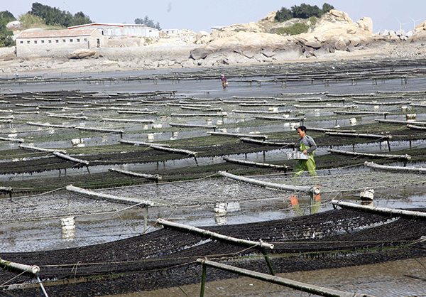 1120գڸʡнɽϲֳϲˡ