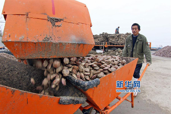 1120գɽݺҴװϴɸѡȱ