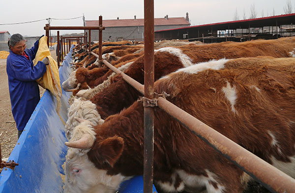 1118գһũںӱʡݴ÷ƶʽţڹ