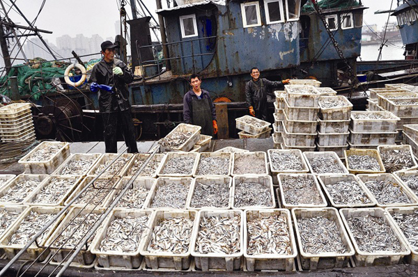 ɽൺѴ һ̰ܲ ëԪ2