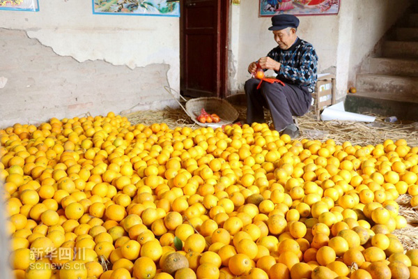 1124գǰ۸ũũƸڰװ