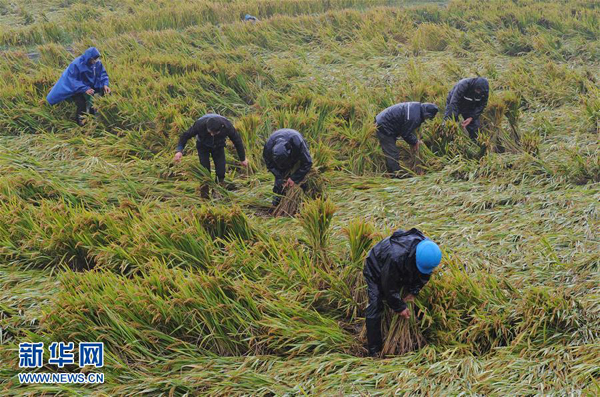 �㽭�������� ���ն��ֿ���