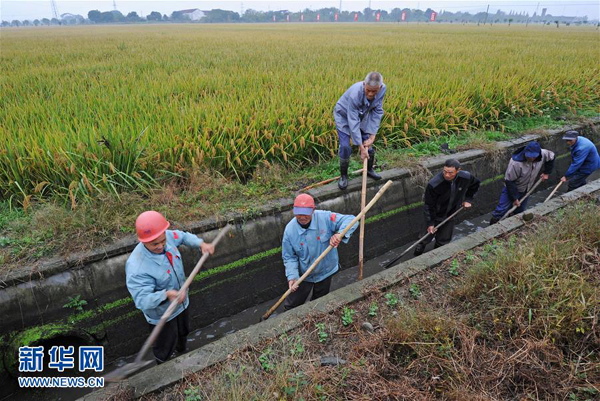 11��24�գ��㽭����������Ǯɽ����ʳ������������ũ�������������Է�ˮ�����