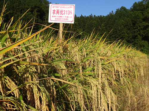 ����������ʾ���߲�ˮ����Ʒ��2