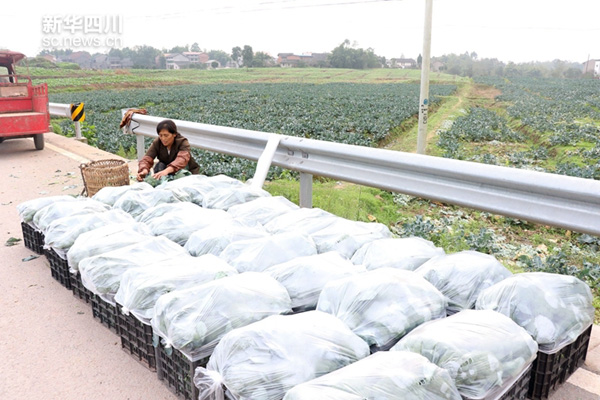 1125գ㰲ǰڶԸղժװ