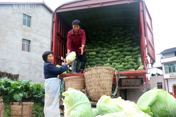 1125գ㰲ǰڶ԰ײ˽װ