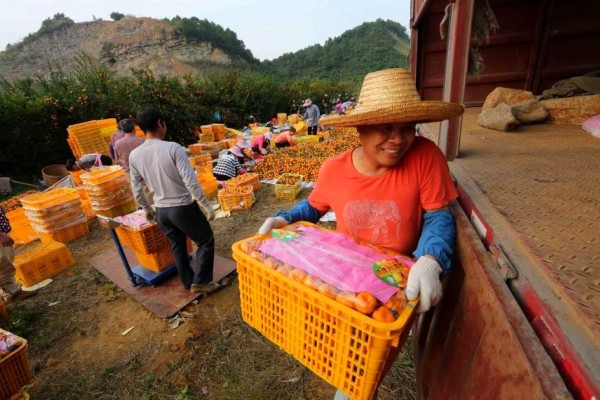 1124գڹڰشºʹ壬ũũװŵ۽װ