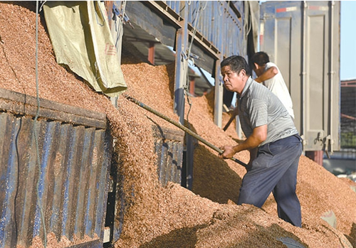 �����������ʳ�þ�������Ŀ�仧��ҵ