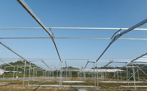 ���ڽ����е���ֲ���