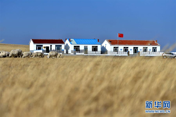 这是位于草原深处修缮一新的巴彦敖包图嘎查的村委会和卫生室(11月13日摄)。
