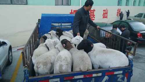 ɹ첼вҺ첿ֳĽѷŵλ