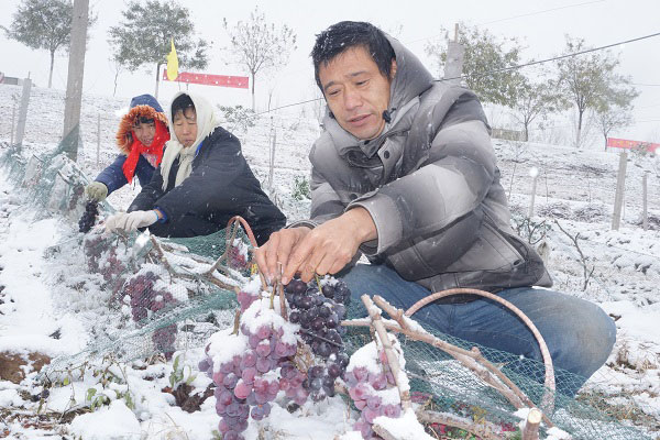 ɽ�����ࣺ������ϲ�����