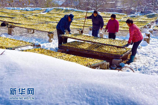 1127գɽʡׯɽͤũѩɹع