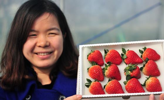 ���ճ����ݮѩ������ ��ȫ��׷����Դ